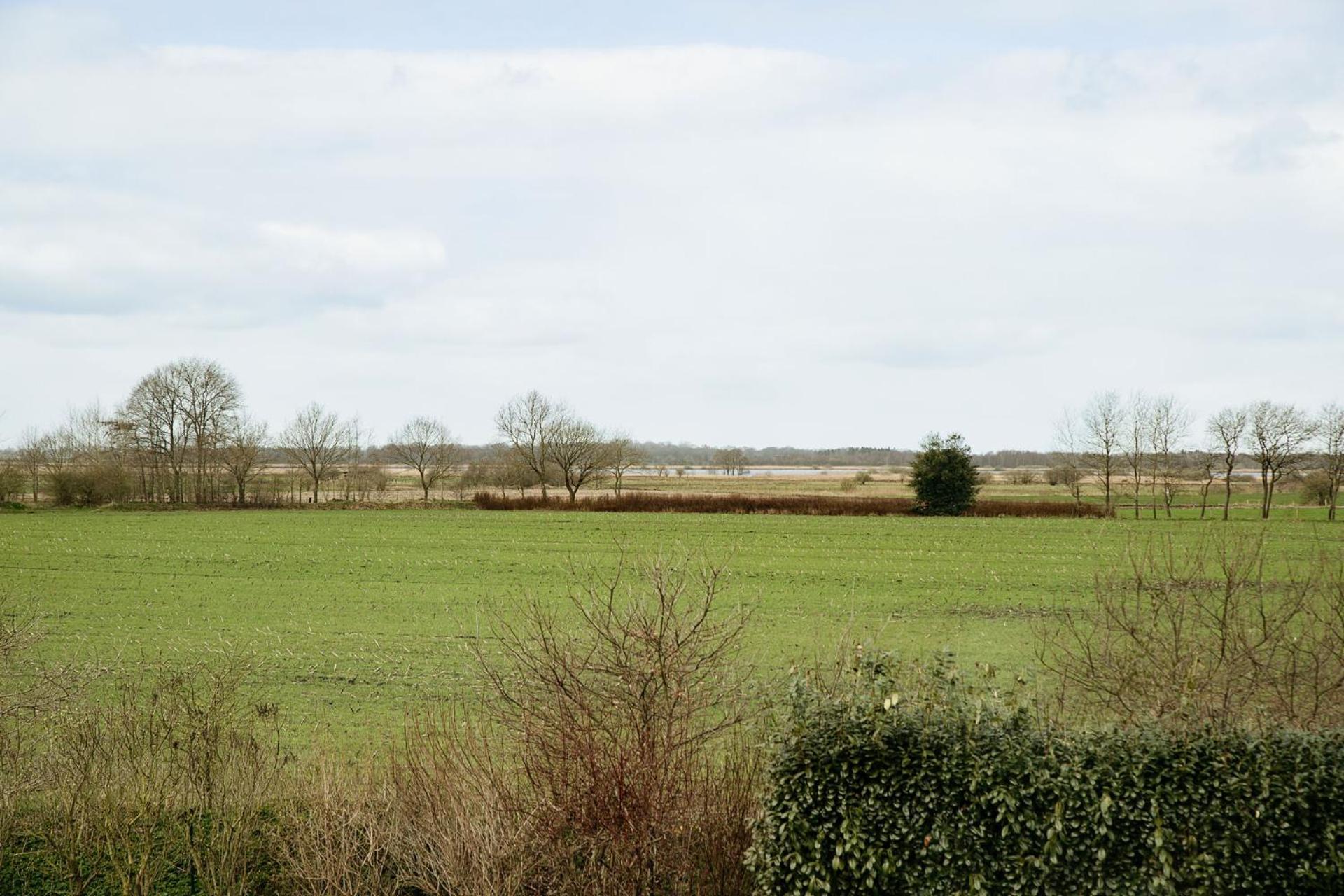 Ferienwohnung Hohner Seeblick Hohn  Buitenkant foto