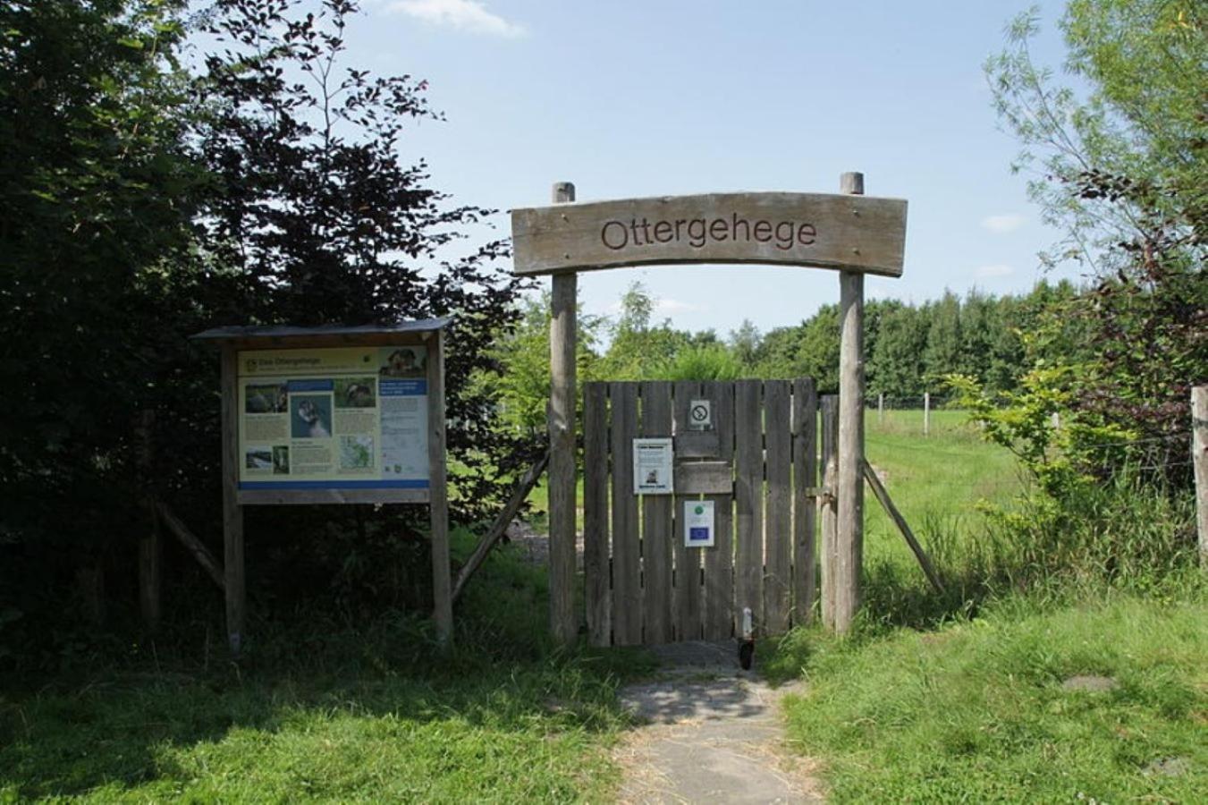 Ferienwohnung Hohner Seeblick Hohn  Buitenkant foto